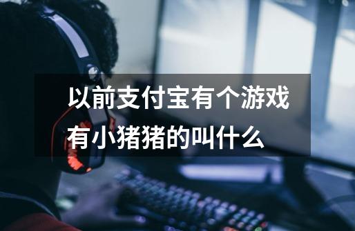 以前支付宝有个游戏有小猪猪的叫什么-第1张-游戏信息-龙启网