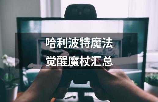 哈利波特魔法觉醒魔杖汇总-第1张-游戏信息-龙启网