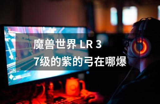 魔兽世界 LR 37级的紫的弓在哪爆-第1张-游戏信息-龙启网