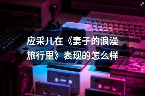 应采儿在《妻子的浪漫旅行里》表现的怎么样-第1张-游戏信息-龙启网