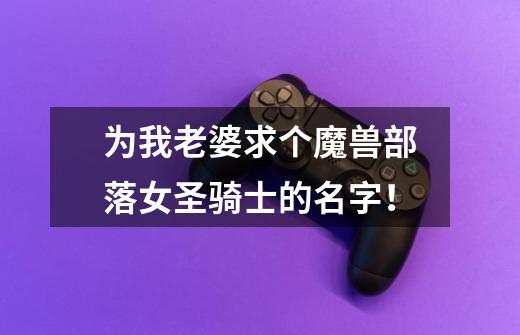 为我老婆求个魔兽部落女圣骑士的名字！-第1张-游戏信息-龙启网