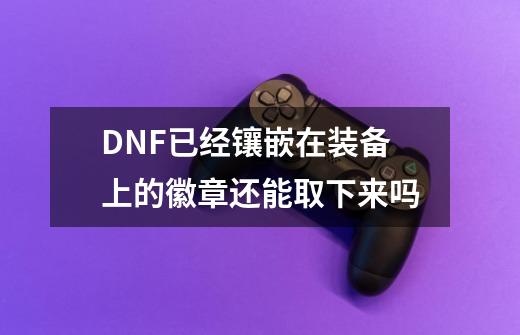 DNF已经镶嵌在装备上的徽章还能取下来吗-第1张-游戏信息-龙启网