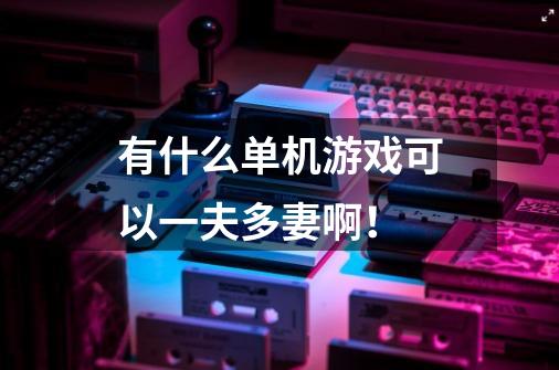 有什么单机游戏可以一夫多妻啊！-第1张-游戏信息-龙启网