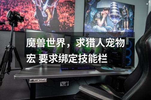 魔兽世界,求猎人宠物宏 要求绑定技能栏-第1张-游戏信息-龙启网