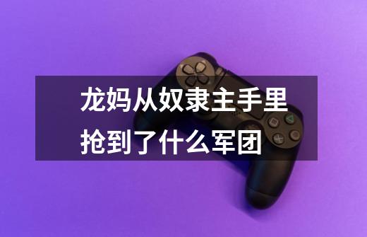 龙妈从奴隶主手里抢到了什么军团-第1张-游戏信息-龙启网