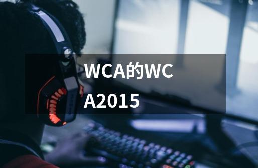 WCA的WCA2015-第1张-游戏信息-龙启网