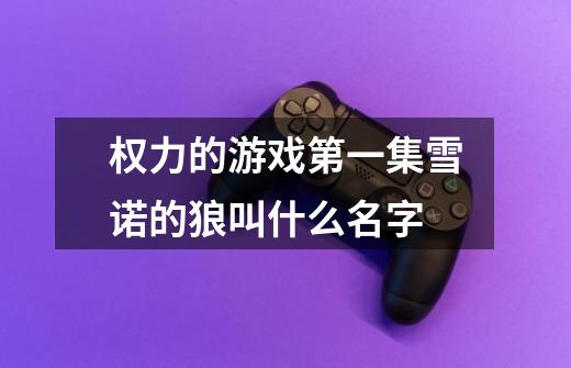权力的游戏第一集雪诺的狼叫什么名字-第1张-游戏信息-龙启网