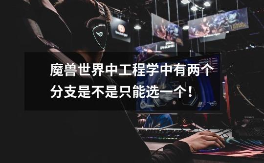 魔兽世界中工程学中有两个分支是不是只能选一个！-第1张-游戏信息-龙启网