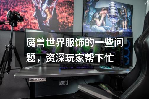 魔兽世界服饰的一些问题，资深玩家帮下忙-第1张-游戏信息-龙启网