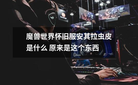 魔兽世界怀旧服安其拉虫皮是什么 原来是这个东西-第1张-游戏信息-龙启网