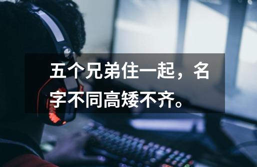五个兄弟住一起,名字不同高矮不齐。-第1张-游戏信息-龙启网