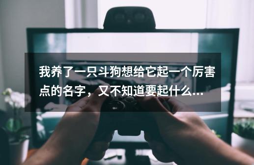 我养了一只斗狗想给它起一个厉害点的名字,又不知道要起什么才好还请各位大哥帮帮忙!-第1张-游戏信息-龙启网