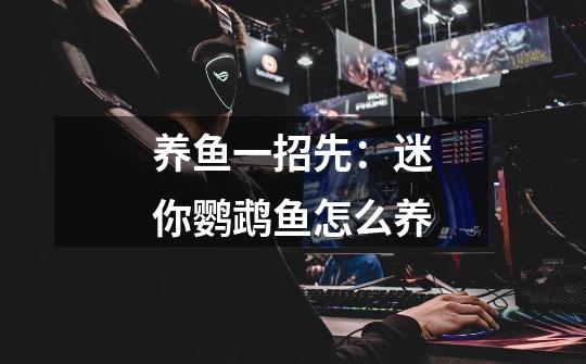 养鱼一招先:迷你鹦鹉鱼怎么养-第1张-游戏信息-龙启网