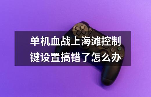 单机血战上海滩控制键设置搞错了怎么办-第1张-游戏信息-龙启网
