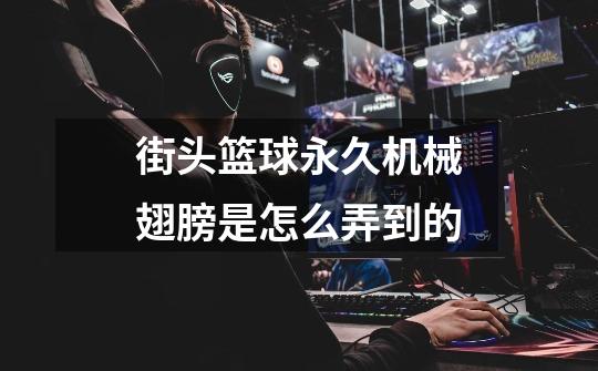 街头篮球永久机械翅膀是怎么弄到的-第1张-游戏信息-龙启网