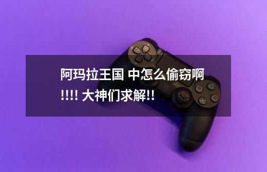 阿玛拉王国 中怎么偷窃啊 !!!! 大神们求解!!-第1张-游戏信息-龙启网