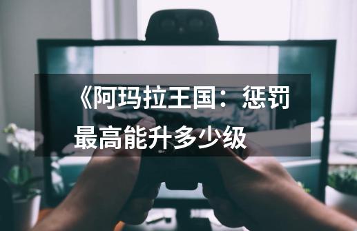 《阿玛拉王国：惩罚 最高能升多少级-第1张-游戏信息-龙启网