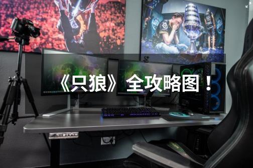 《只狼》全攻略图 !-第1张-游戏信息-龙启网