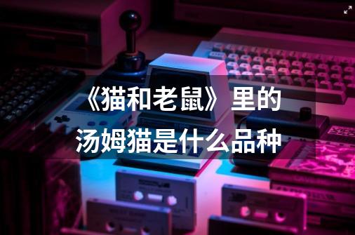 《猫和老鼠》里的汤姆猫是什么品种-第1张-游戏信息-龙启网
