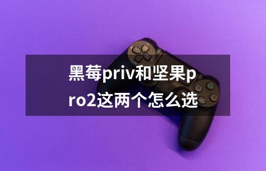 黑莓priv和坚果pro2这两个怎么选-第1张-游戏信息-龙启网
