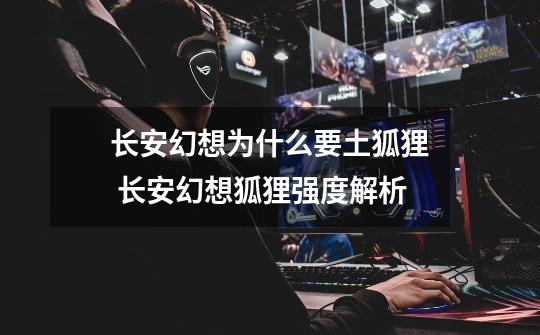 长安幻想为什么要土狐狸 长安幻想狐狸强度解析-第1张-游戏信息-龙启网