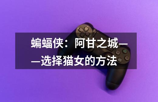 蝙蝠侠:阿甘之城——选择猫女的方法-第1张-游戏信息-龙启网