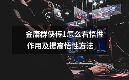 金庸群侠传1怎么看悟性 作用及提高悟性方法-第1张-游戏信息-龙启网