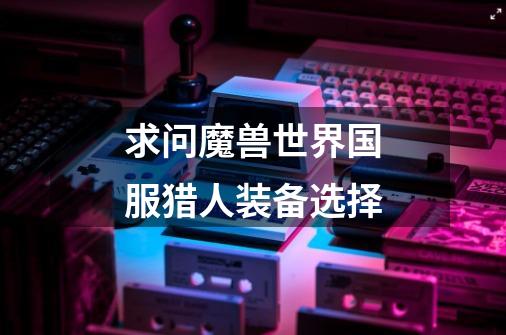 求问魔兽世界国服猎人装备选择-第1张-游戏信息-龙启网