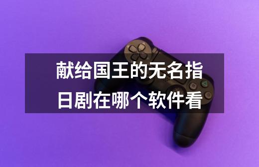 献给国王的无名指日剧在哪个软件看-第1张-游戏信息-龙启网
