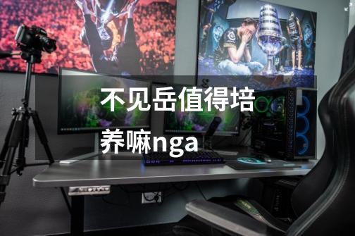 不见岳值得培养嘛nga-第1张-游戏信息-龙启网