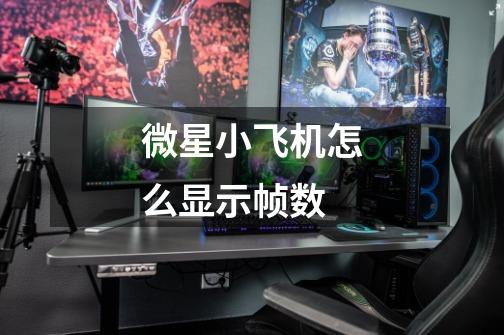 微星小飞机怎么显示帧数-第1张-游戏信息-龙启网