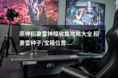 原神稻妻雷神瞳收集攻略大全 稻妻雷种子/宝箱位置总汇-高手进阶-安族网-第1张-游戏信息-龙启网