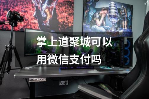 掌上道聚城可以用微信支付吗-第1张-游戏信息-龙启网