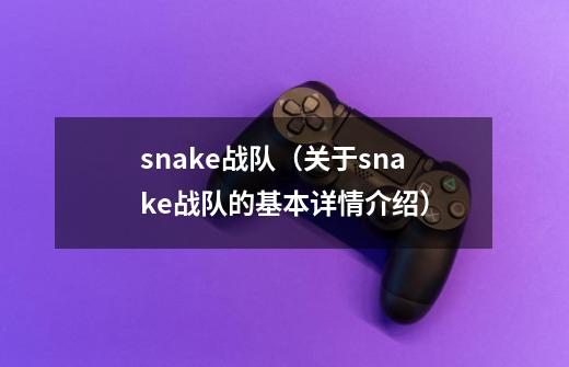 snake战队(关于snake战队的基本详情介绍)-第1张-游戏信息-龙启网