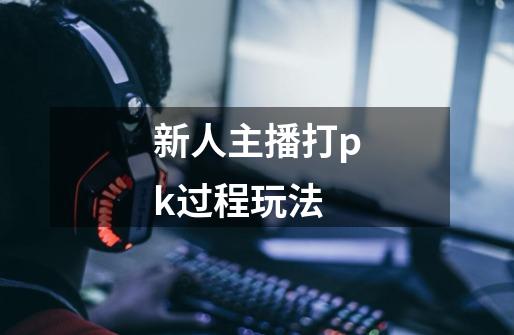 新人主播打pk过程玩法-第1张-游戏信息-龙启网