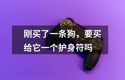 刚买了一条狗，要买给它一个护身符吗-第1张-游戏信息-龙启网