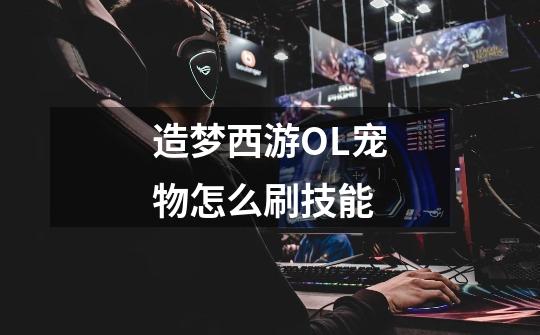 造梦西游OL宠物怎么刷技能-第1张-游戏信息-龙启网