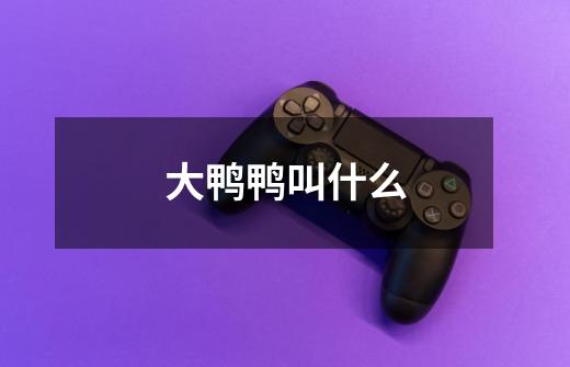 大鸭鸭叫什么-第1张-游戏信息-龙启网
