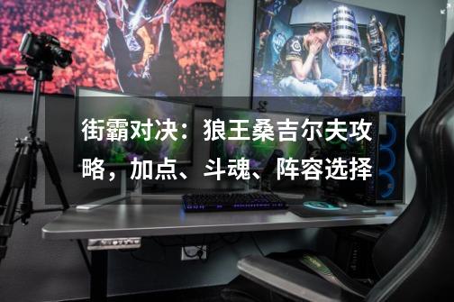 街霸对决:狼王桑吉尔夫攻略,加点、斗魂、阵容选择-第1张-游戏信息-龙启网
