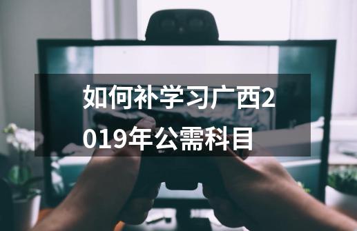 如何补学习广西2019年公需科目-第1张-游戏信息-龙启网