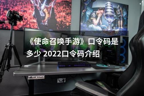 《使命召唤手游》口令码是多少 2022口令码介绍-第1张-游戏信息-龙启网