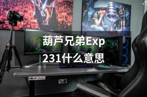 葫芦兄弟Exp231什么意思-第1张-游戏信息-龙启网