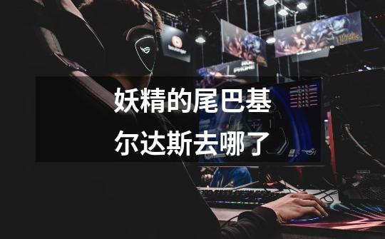 妖精的尾巴基尔达斯去哪了-第1张-游戏信息-龙启网