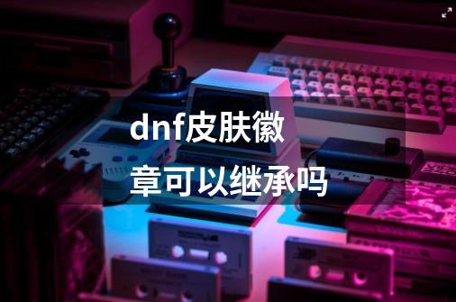 dnf皮肤徽章可以继承吗-第1张-游戏信息-龙启网