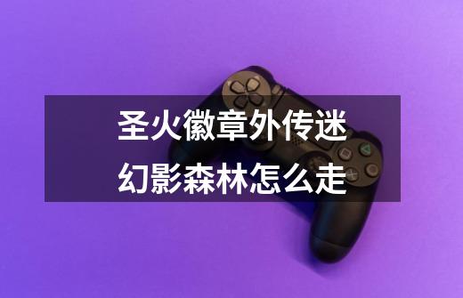 圣火徽章外传迷幻影森林怎么走-第1张-游戏信息-龙启网