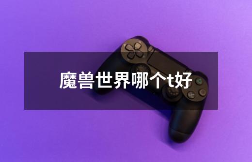 魔兽世界哪个t好-第1张-游戏信息-龙启网
