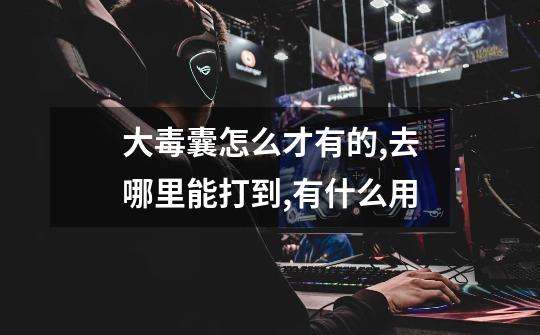 大毒囊怎么才有的,去哪里能打到,有什么用-第1张-游戏信息-龙启网