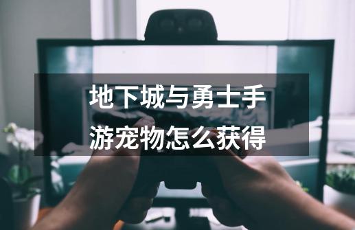 地下城与勇士手游宠物怎么获得-第1张-游戏信息-龙启网