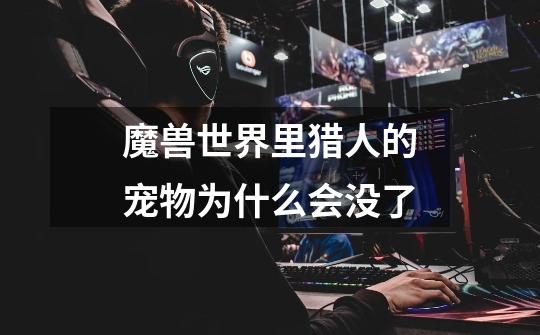魔兽世界里猎人的宠物为什么会没了-第1张-游戏信息-龙启网