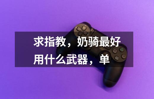 求指教,奶骑最好用什么武器,单-第1张-游戏信息-龙启网